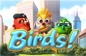 Birds